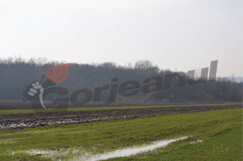 4.700 de parcele, verificate de inspectorii APIA Gorj