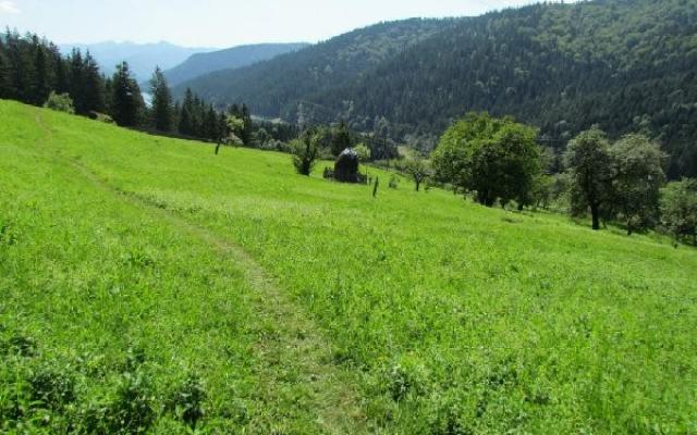 PACINFO, încă în stand-by la Gorj