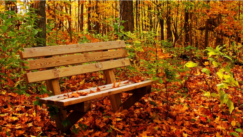 banca_in_parc_toamna