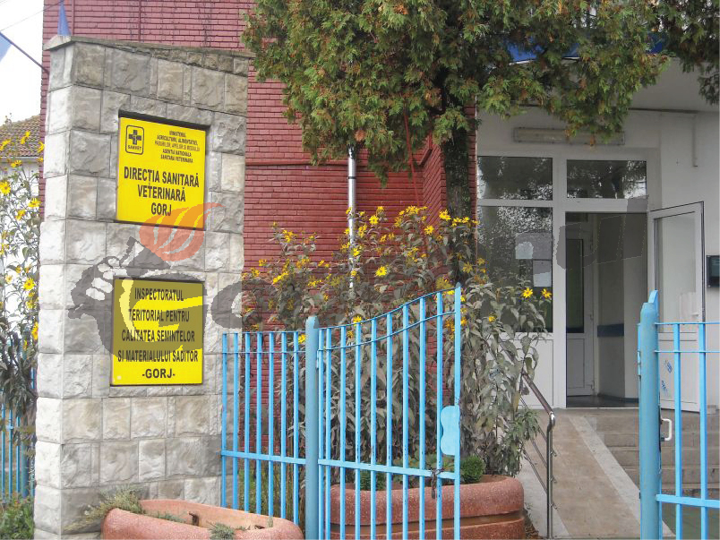 Compartiment de Anti-fraudă şi de Poliţia Sanitară la DSVSA Gorj
