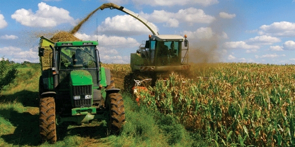 84 de rentieri gorjeni au primit banii pe 2013