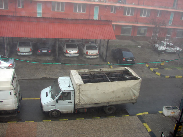 Zeci de tone de cărbune, confiscate de poliţişti