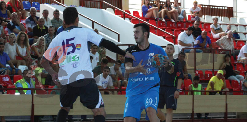 handbal vaslui