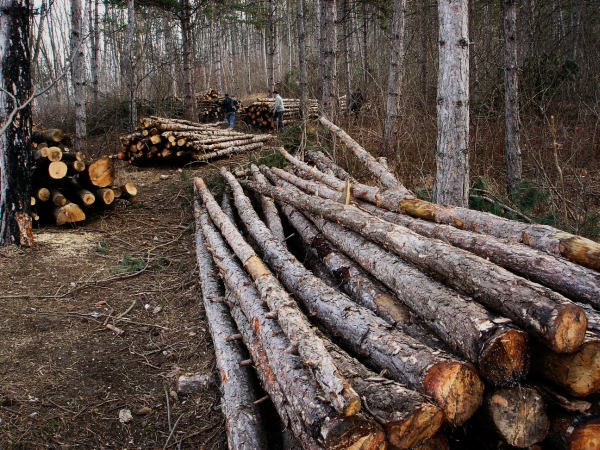 Sancţiuni din partea Gărzii de Mediu