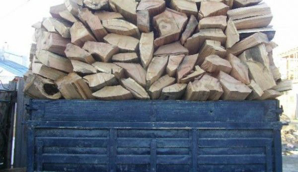 Amendat pentru că transporta lemne fără acte