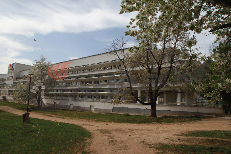 Acoperişul Spitalului de Pneumoftiziologie, în plin proces de înlocuire