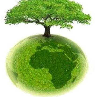 Stimaţi părinţi !