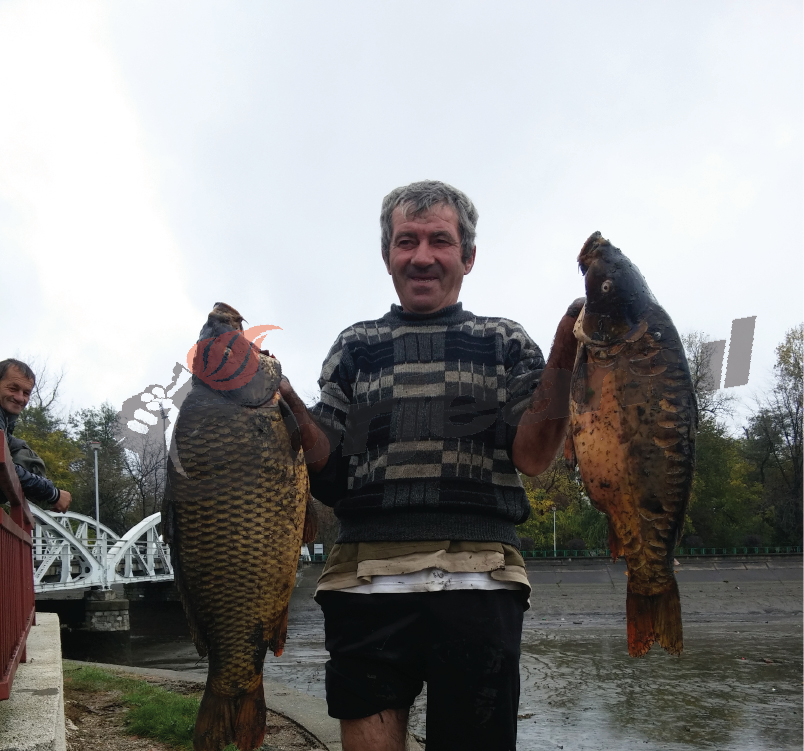 Pescari de ocazie pe Jiu