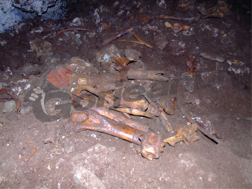 Dezastrul din Peştera Urşilor, sub lupa specialiştilor Institutului Naţional de Speologie