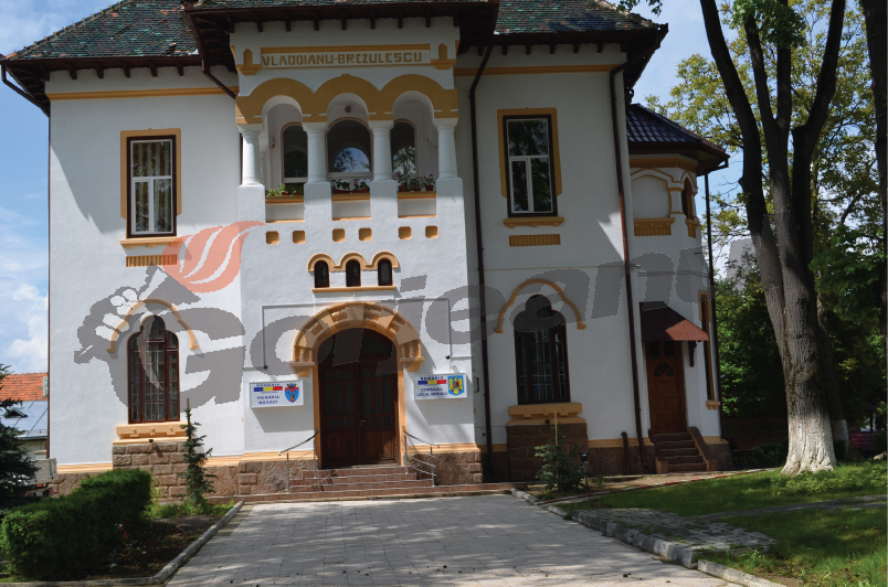 La Novaci, demisii de onoare din funcţiile de consilieri