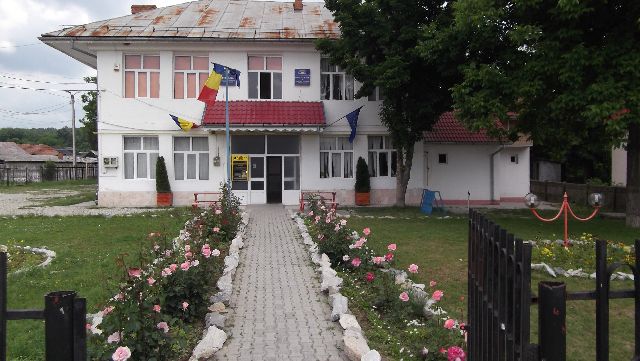 Se caută şofer pentru microbuzul elevilor din Bâlteni