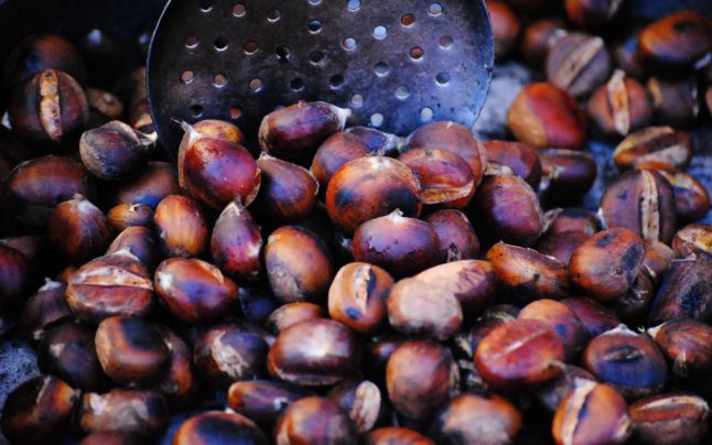 Workshop pentru conservarea ariilor protejate, la Tismana