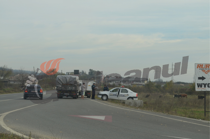 Zeci de metri cubi de material lemnos, transportaţi fără documente