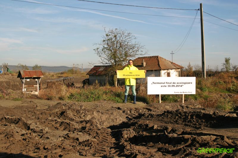 Greenpeace taxează termenul depăşit pentru înlăturarea cenuşii din Sumaidane