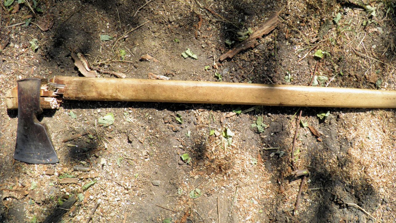 Pădurar lovit cu coada securii de hoţii de lemne