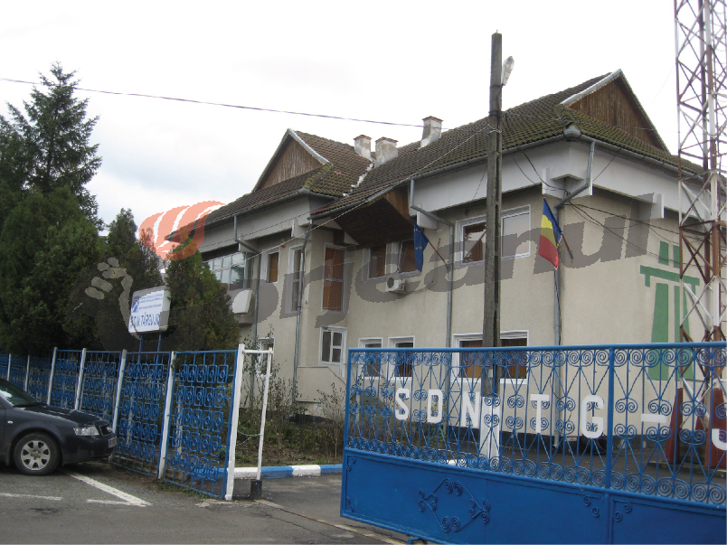 Două maşini de la Poliţia Locală au ajuns la SDN