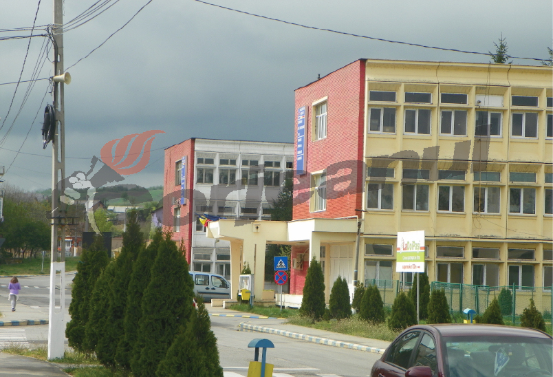 A intrat cu maşina în gard