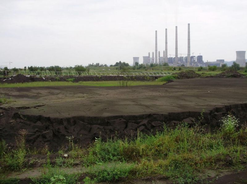 Petiție pentru Sumaidane