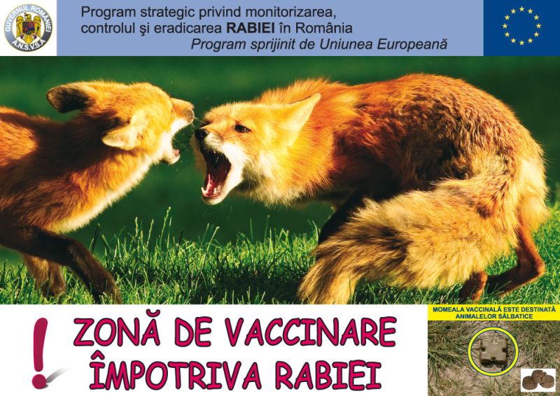Vaccinare antirabică pentru vulpile din Gorj