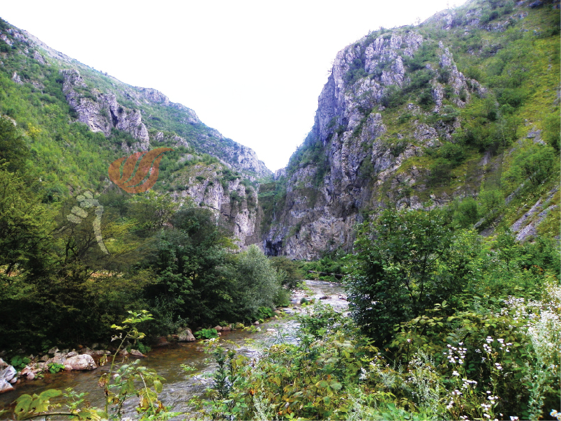 Sistemul carstic Cheile Sohodolului necesită măsuri de protecţie