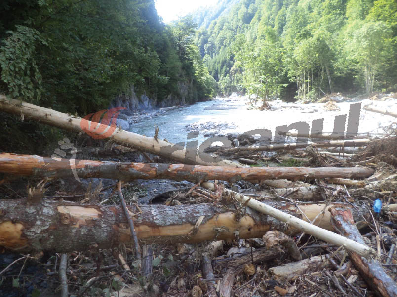 Buşteni periculoşi, pe râul Gilort