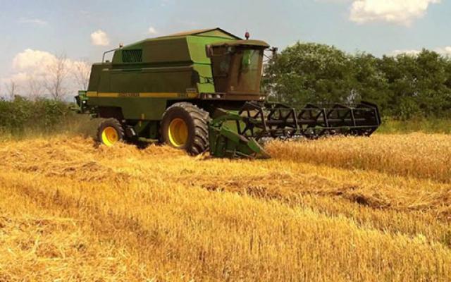 Însămânţările la grâu, pe final