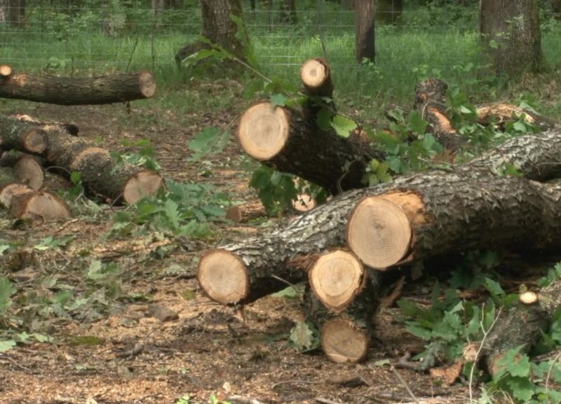 Gorjean amendat de poliţiştii doljeni