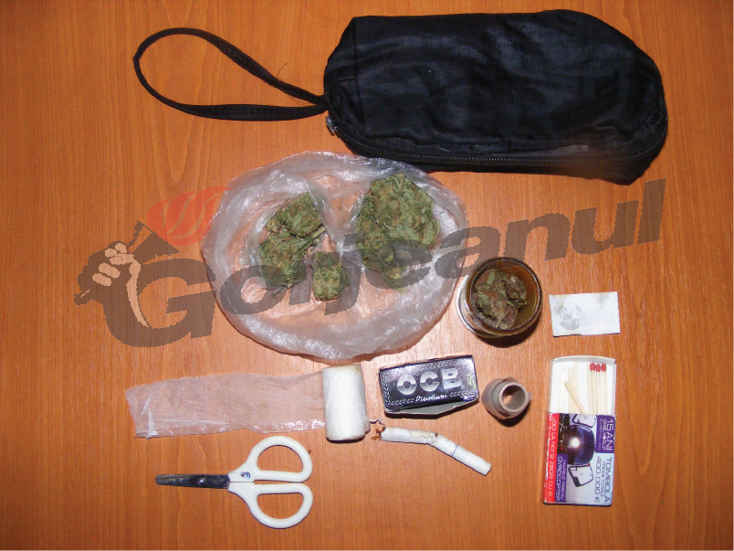 Suporter rapidist, prins cu canabis la meci