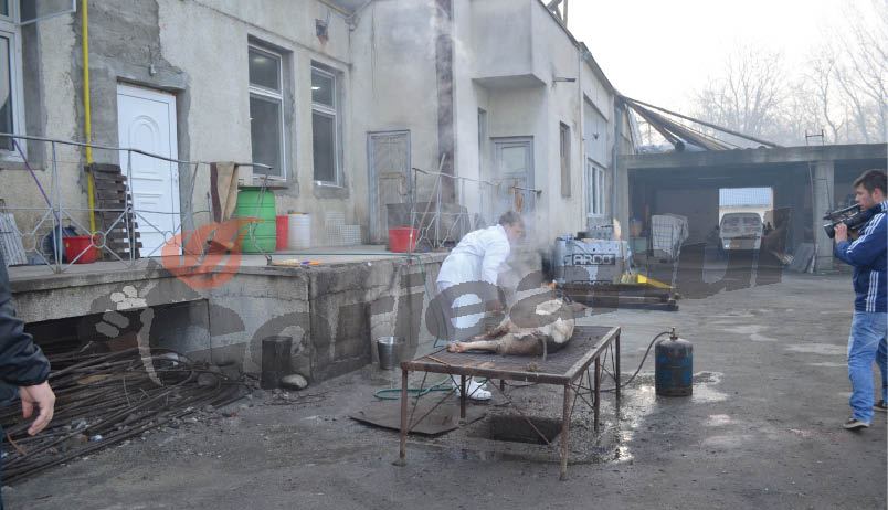 Pentru copii instituţionalizaţi, CJ Gorj păstrează tradiţia tăierii porcului de Ignat