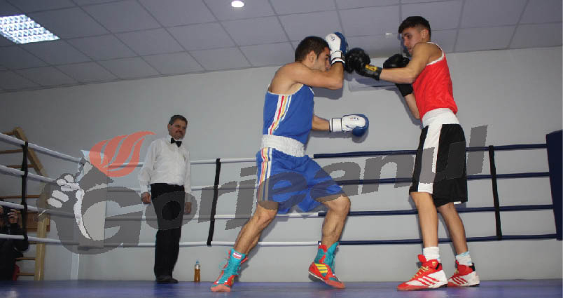 Gorjul a adunat cinci medalii la Cupa României