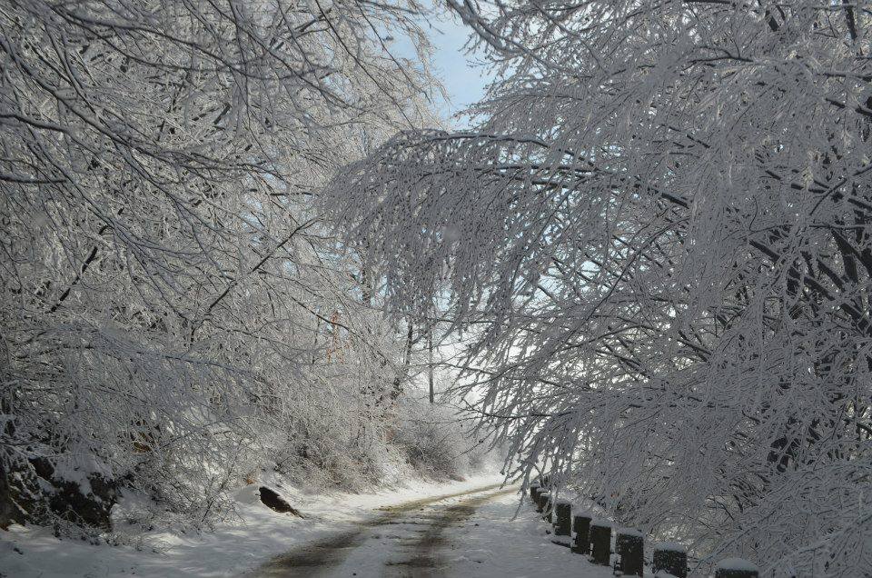 Drumul de acces la Spitalul de Pneumoftiziologie, deszăpezit