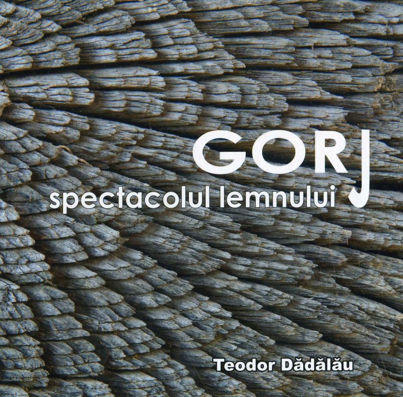 “GORJ – spectacolul lemnului”, începutul unui proiect măreţ marca Teodor Dădălău