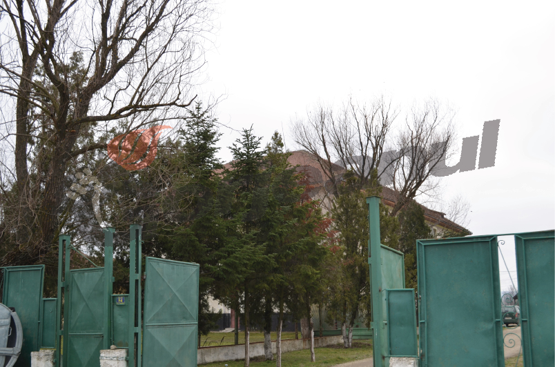 A crescut numărul bolnavilor psihic