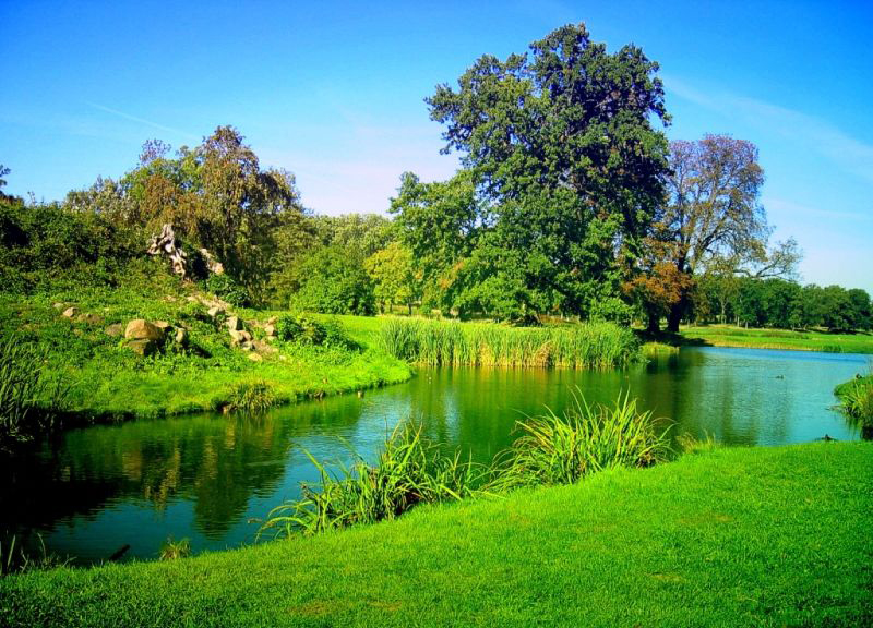 Concurs pentru ecologiştii pasionaţi de fotografie