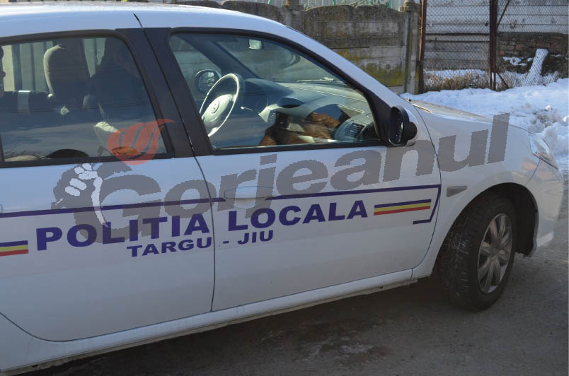 Campanie pentru îndepărtarea ţurţurilor