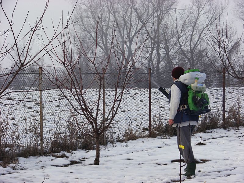 Lucrări agricole în repausul vegetativ