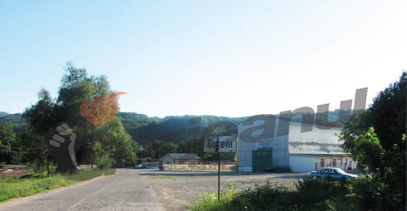 Colonia ACH, piatră de gâtul Util Bonus Peştişani