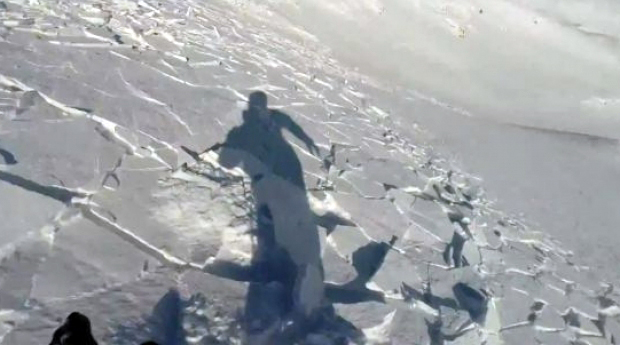 Teafăr după o avalanșă la Rânca