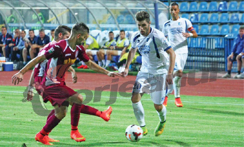 Victoria e obligatorie pentru panduri