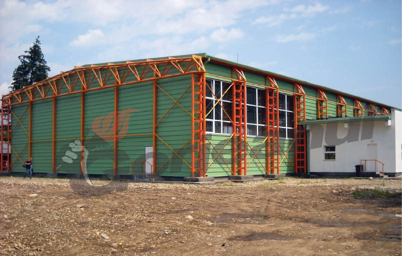 Administratorul firmei care a construit trei săli de sport în Gorj, pe labă cu Udrea