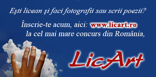 Ultima lună de înscrieri la Festivalul “LicArt”