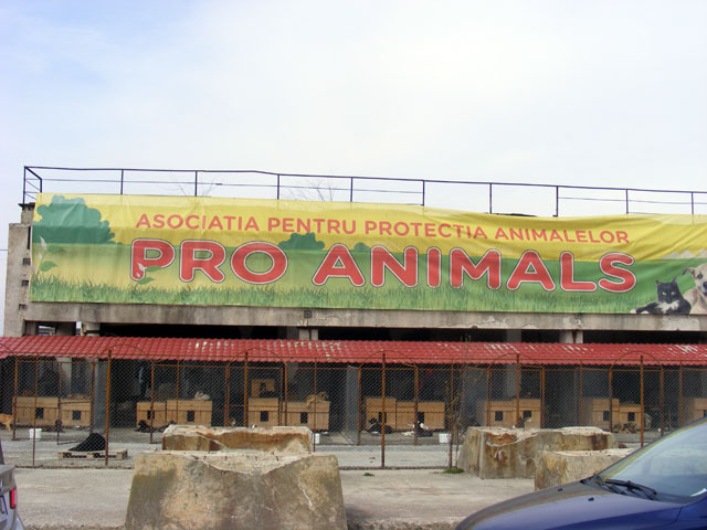 Campanie gratuită de sterilizări