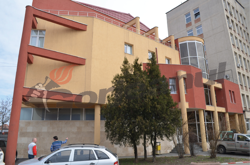 Moţiunea PNL despre pierderile CEO