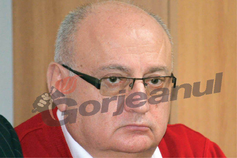 Cocină, pro-energia verde la întâlnirea UNPR din Vâlcea