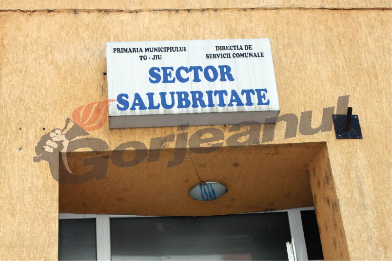 Zece candidaţi, declaraţi admişi pentru posturile de măturător