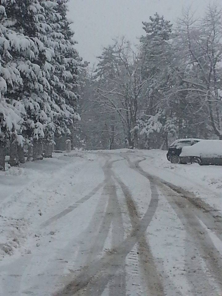 curte spital dobrita