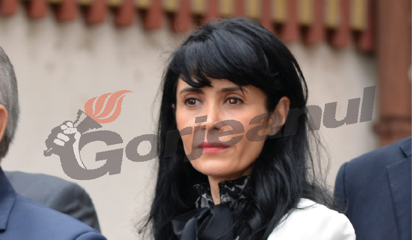 Viceprimăriţa Vînă caută guvernantă