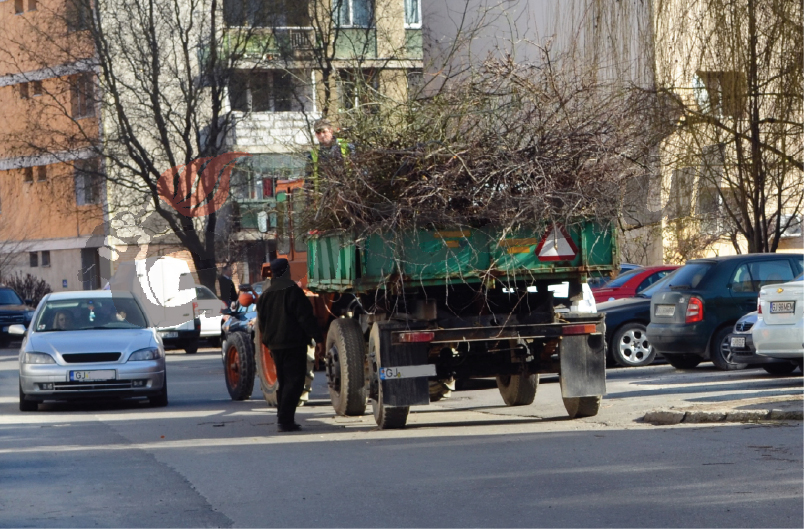 Gura târgului – Angajaţi ai Edilitara, acuzaţi că au ,,rănit” un Matiz