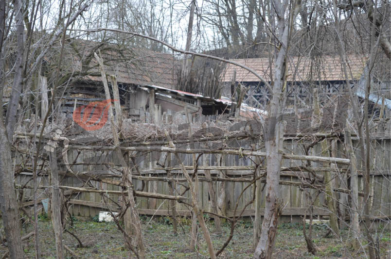 Poluaţi 13 ani de unchiul viceprimarului din Stejari