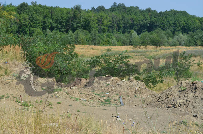 Teren forestier din Gorj, acaparat fraudulos de directorul general adjunct al Gărzii de Mediu